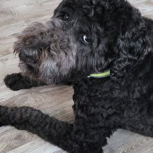 Meet your Posher, Jeanette